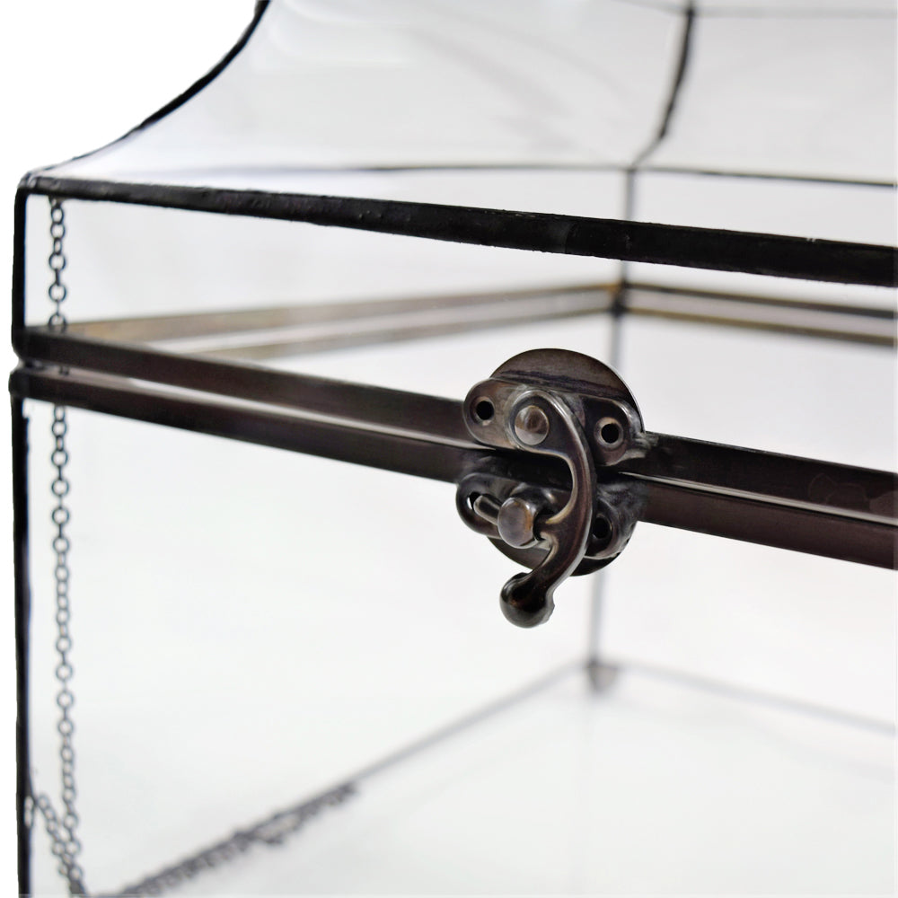 Box 600 Glass Display Box - Curved Glass
