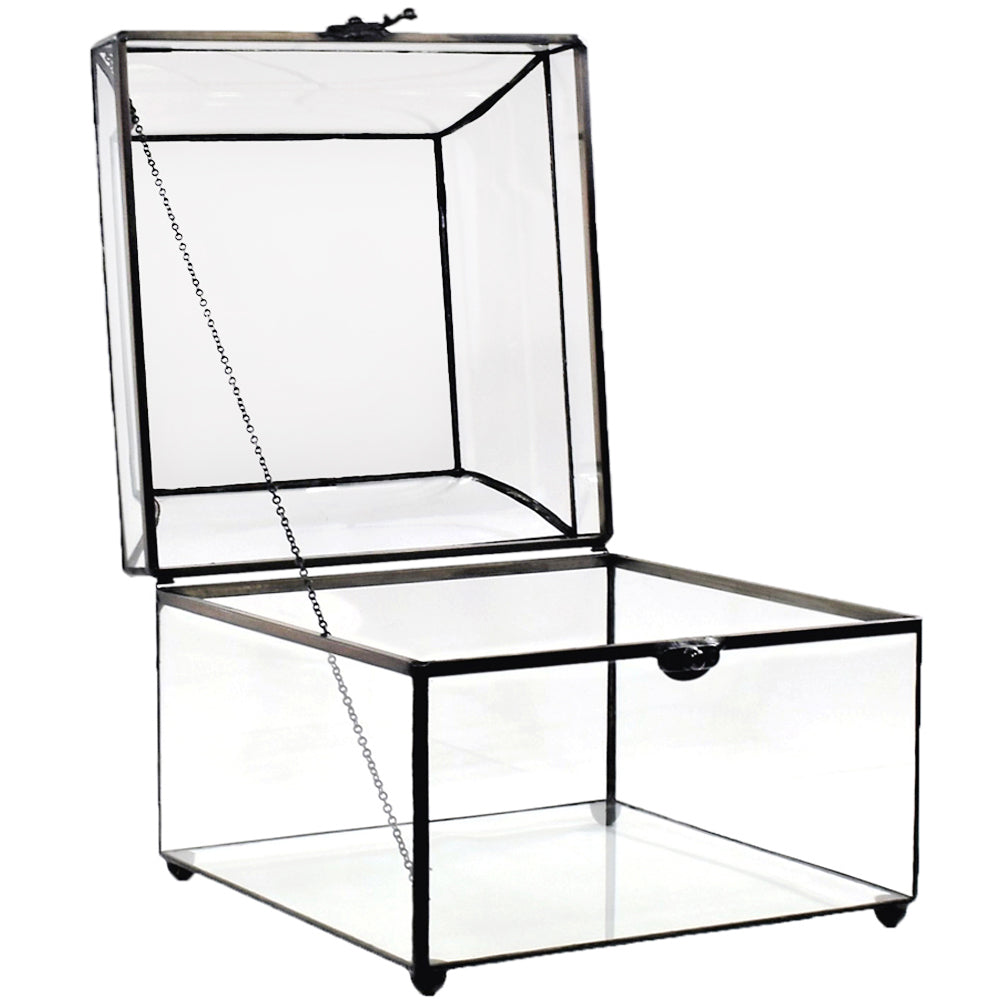 Box 600 Glass Display Box - Curved Glass