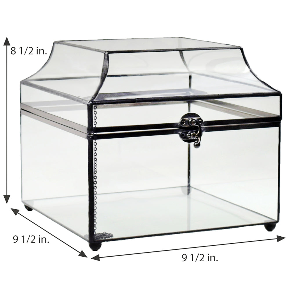Box 600 Glass Display Box - Curved Glass