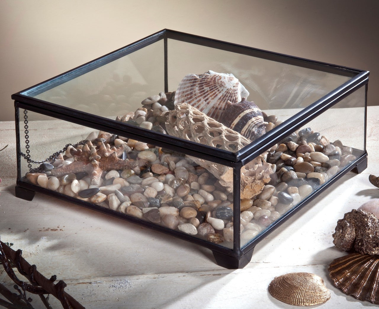 Box 747 Glass Display Box - Large Square