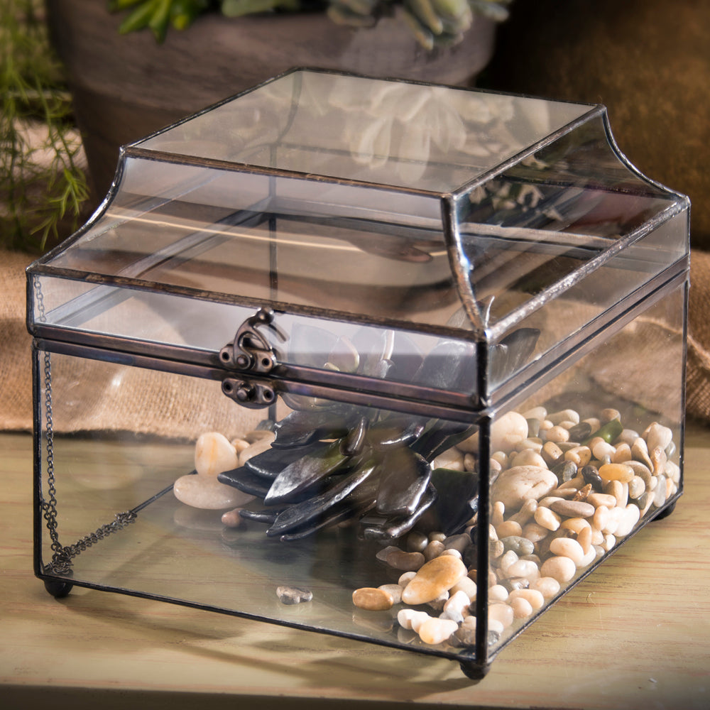 Box 600 Glass Display Box - Curved Glass