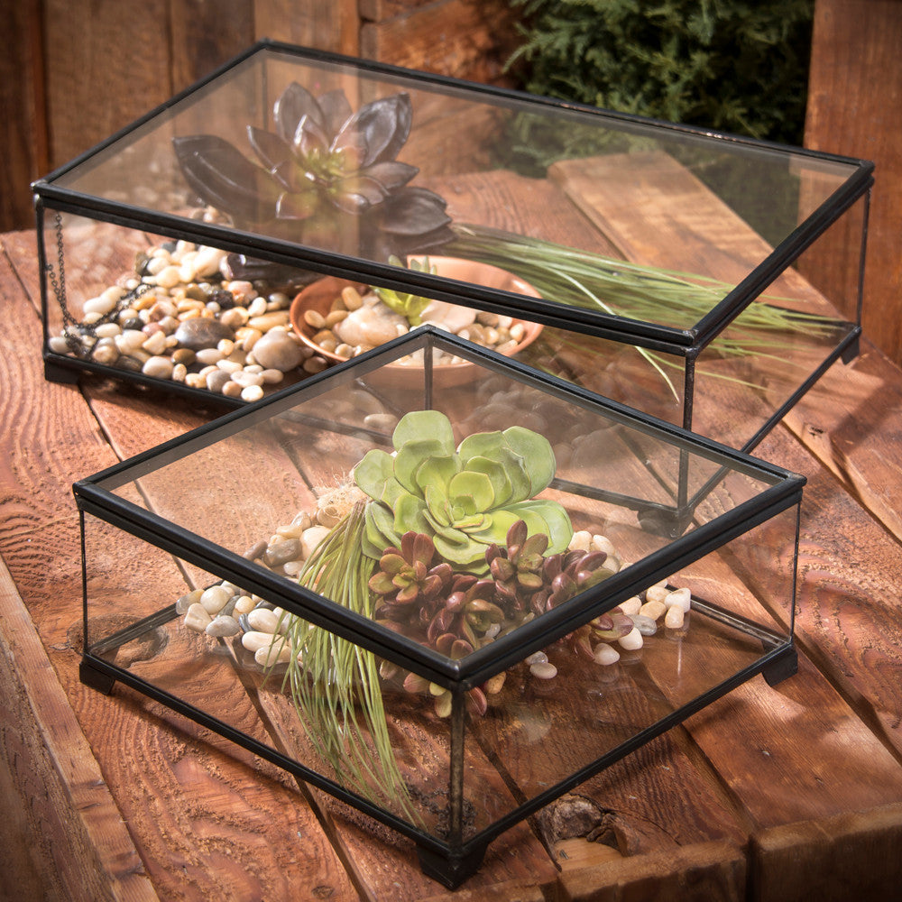 Box 748 Glass Display Box - Rectangular