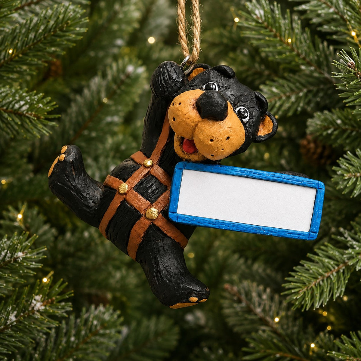 Personalized Zipline Bear Souvenir Ornament - BAC 204