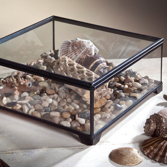 Box 747 Glass Display Box - Large Square